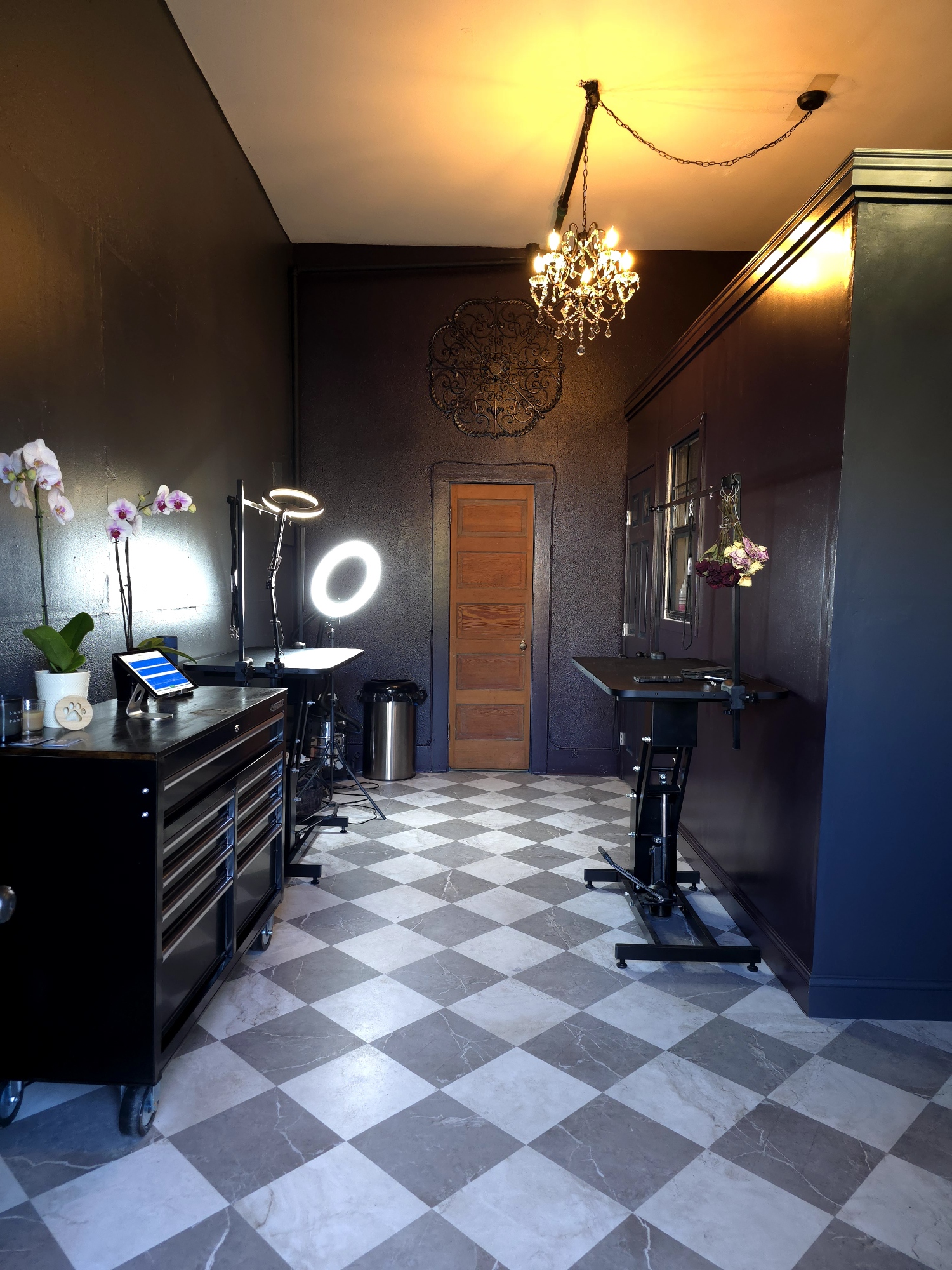 Portland City Pet Groomers